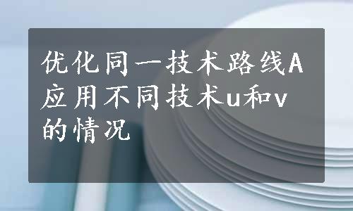 优化同一技术路线A应用不同技术u和v的情况