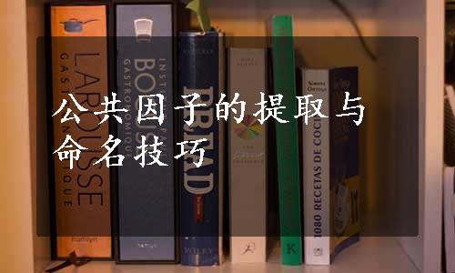 公共因子的提取与命名技巧