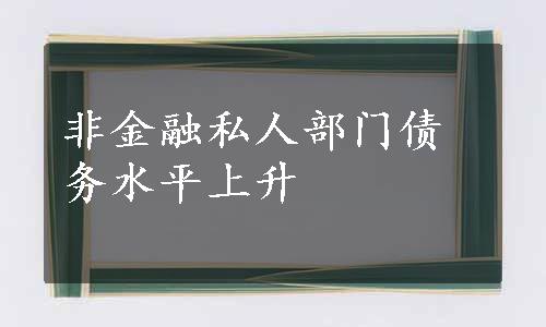 非金融私人部门债务水平上升