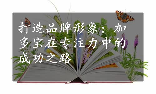 打造品牌形象：加多宝在专注力中的成功之路