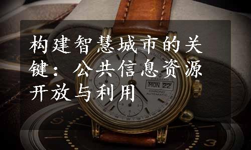 构建智慧城市的关键：公共信息资源开放与利用