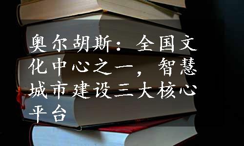 奥尔胡斯：全国文化中心之一，智慧城市建设三大核心平台