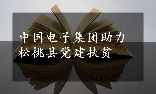 中国电子集团助力松桃县党建扶贫