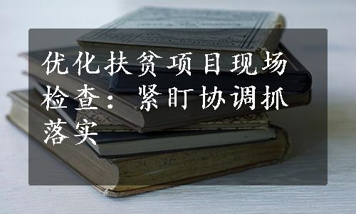 优化扶贫项目现场检查：紧盯协调抓落实