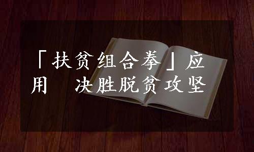 「扶贫组合拳」应用　决胜脱贫攻坚