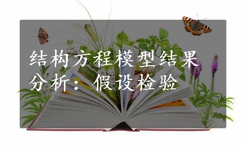 结构方程模型结果分析：假设检验