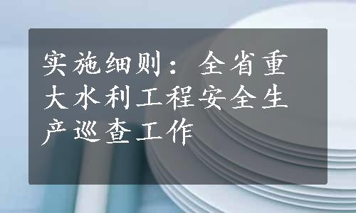 实施细则：全省重大水利工程安全生产巡查工作