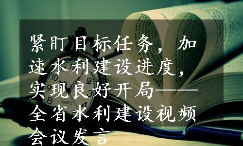 紧盯目标任务，加速水利建设进度，实现良好开局——全省水利建设视频会议发言