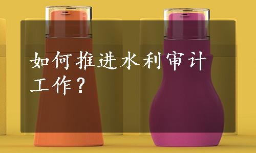 如何推进水利审计工作？