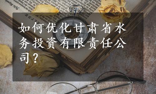 如何优化甘肃省水务投资有限责任公司？