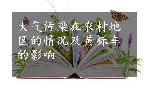 大气污染在农村地区的情况及黄标车的影响