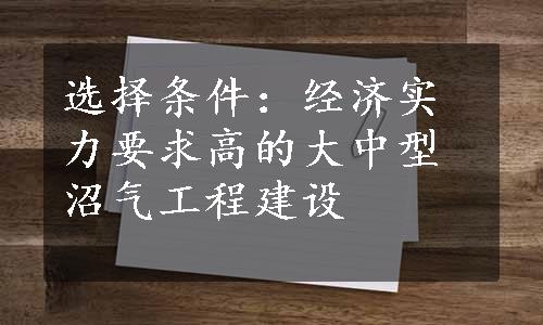 选择条件：经济实力要求高的大中型沼气工程建设