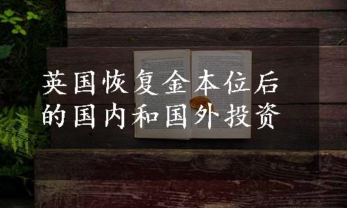 英国恢复金本位后的国内和国外投资