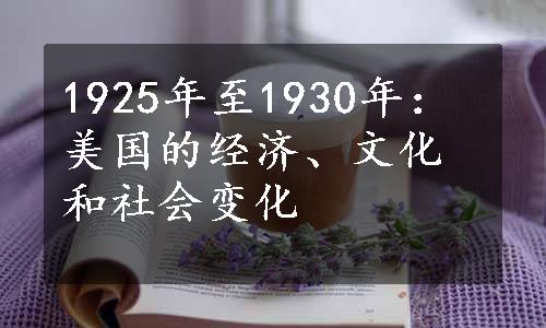 1925年至1930年：美国的经济、文化和社会变化