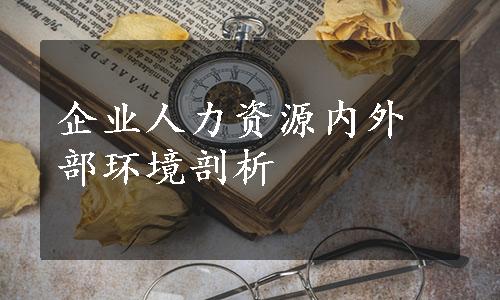 企业人力资源内外部环境剖析