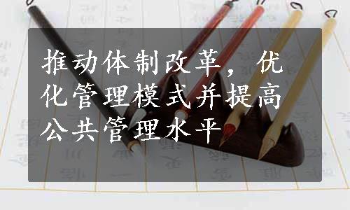 推动体制改革，优化管理模式并提高公共管理水平