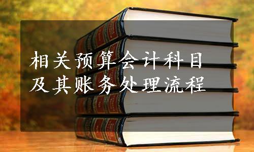 相关预算会计科目及其账务处理流程