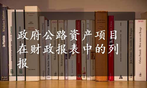 政府公路资产项目在财政报表中的列报