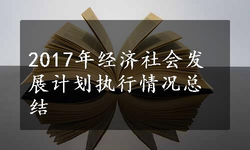 2017年经济社会发展计划执行情况总结