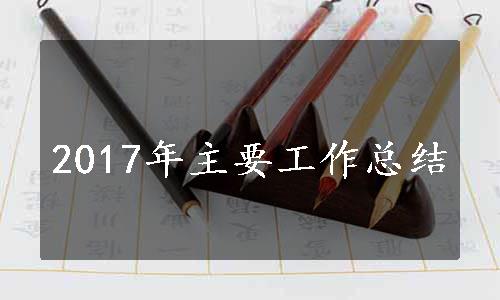 2017年主要工作总结