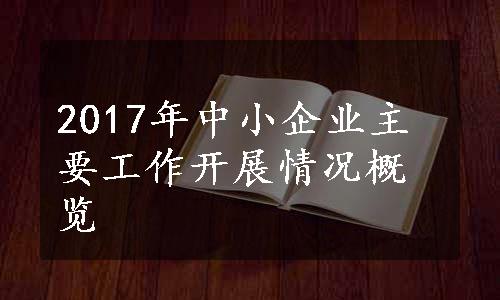 2017年中小企业主要工作开展情况概览