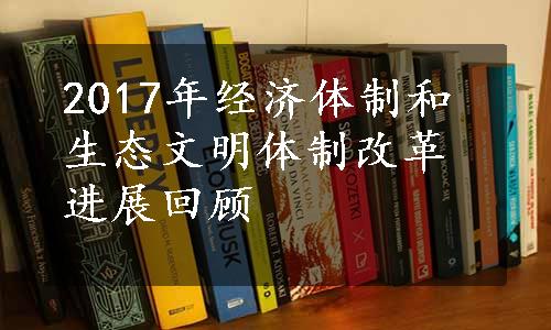 2017年经济体制和生态文明体制改革进展回顾