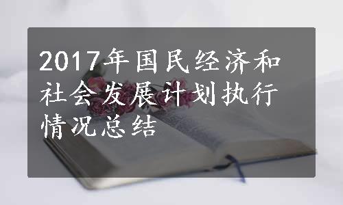 2017年国民经济和社会发展计划执行情况总结