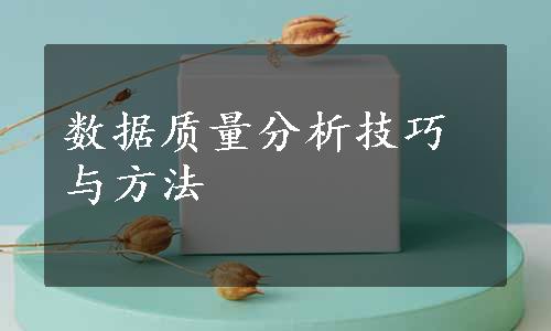 数据质量分析技巧与方法