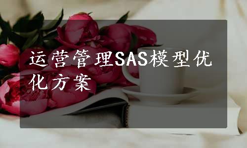 运营管理SAS模型优化方案