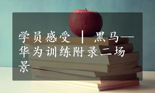 学员感受 | 黑马—华为训练附录二场景