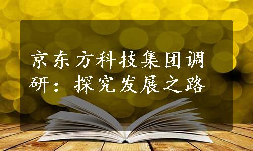 京东方科技集团调研：探究发展之路