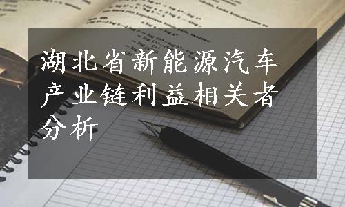 湖北省新能源汽车产业链利益相关者分析