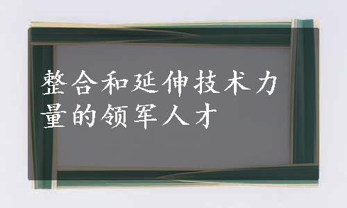 整合和延伸技术力量的领军人才