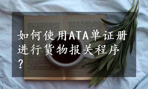 如何使用ATA单证册进行货物报关程序？