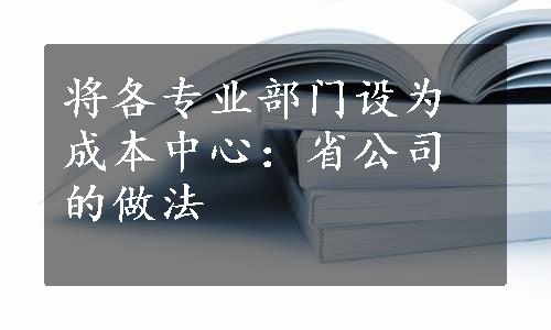 将各专业部门设为成本中心：省公司的做法