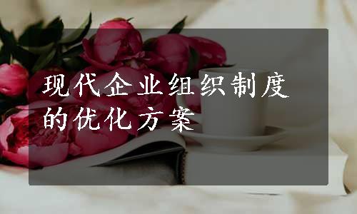 现代企业组织制度的优化方案