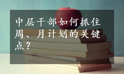 中层干部如何抓住周、月计划的关键点？