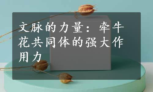 文脉的力量：牵牛花共同体的强大作用力