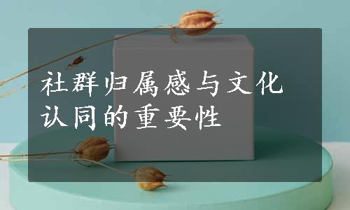 社群归属感与文化认同的重要性