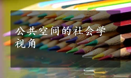 公共空间的社会学视角