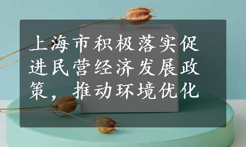 上海市积极落实促进民营经济发展政策，推动环境优化