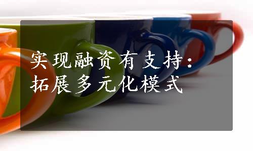 实现融资有支持：拓展多元化模式