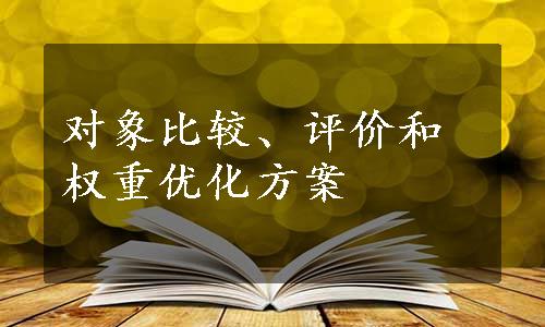 对象比较、评价和权重优化方案