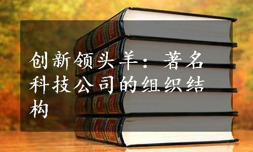 创新领头羊：著名科技公司的组织结构