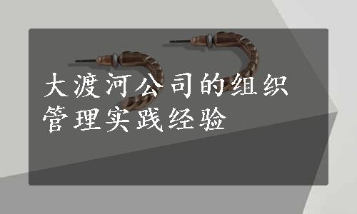 大渡河公司的组织管理实践经验