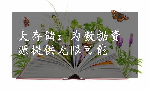 大存储：为数据资源提供无限可能