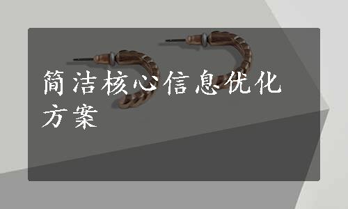 简洁核心信息优化方案