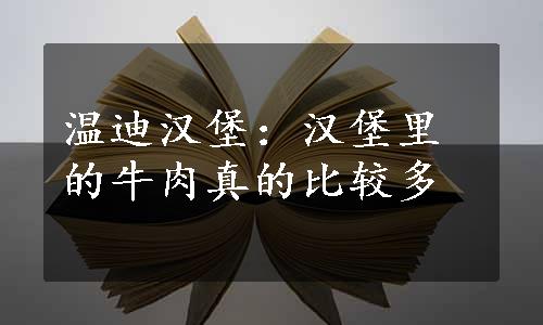 温迪汉堡：汉堡里的牛肉真的比较多