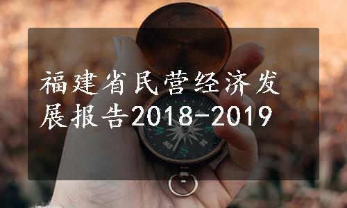 福建省民营经济发展报告2018-2019