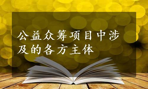 公益众筹项目中涉及的各方主体